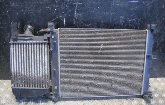Dacia Sandero Coolant radiator 214107326RFM RAD035