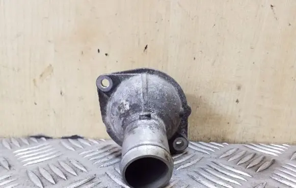 Thermostat/thermostat housing