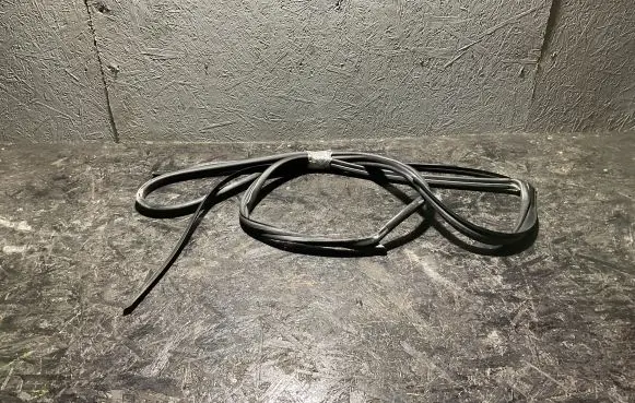Mercedes-Benz S W140 Rubber seal front door (on door) 