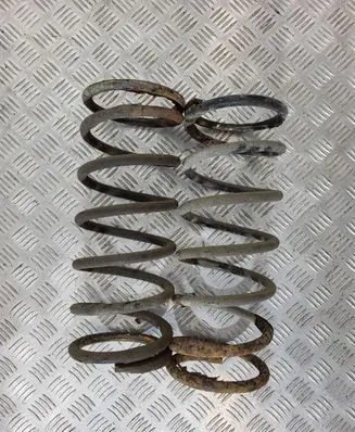Land Rover Discovery Front coil spring