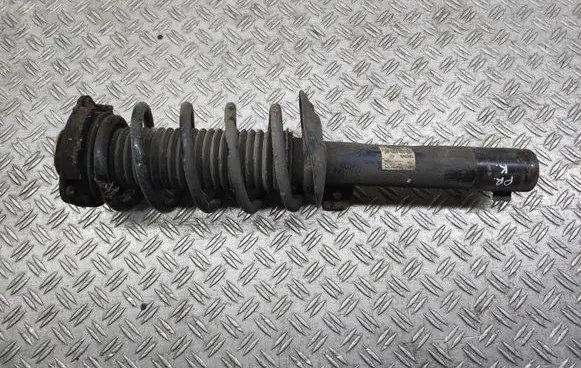 Volkswagen PASSAT B7 Front shock absorber with coil spring 824904008629