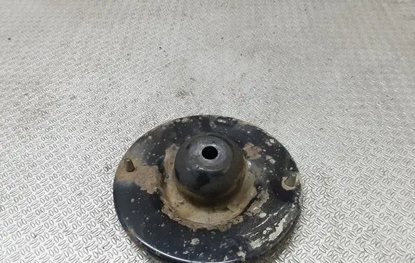 Coil spring mount