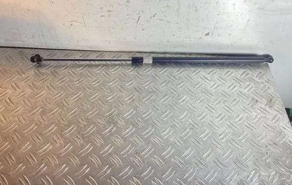 Front bonnet/hood damper/strut