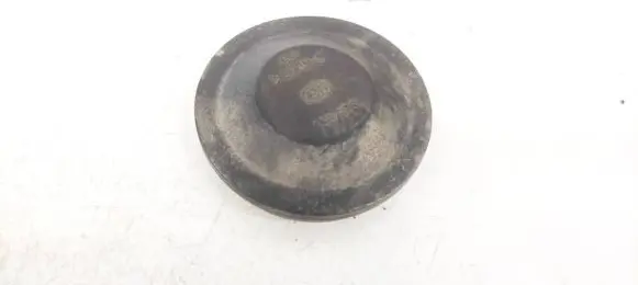 Headlight/headlamp dust cover