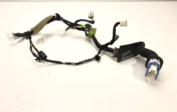 Front door wiring loom