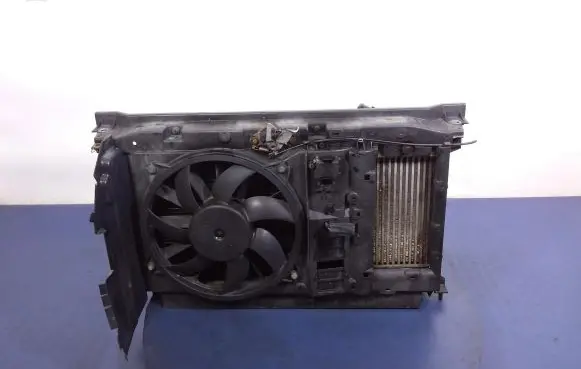 Peugeot 307 Coolant radiator