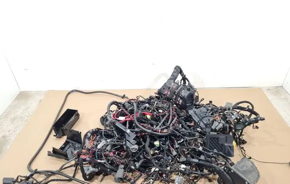 Bentley Flying Spur Wiring harness 4W0974056D 4W0974142H 4W1974000F