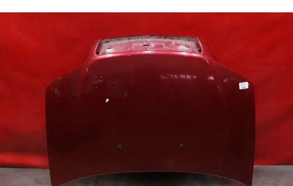 Fiat Punto (199) Engine bonnet/hood 