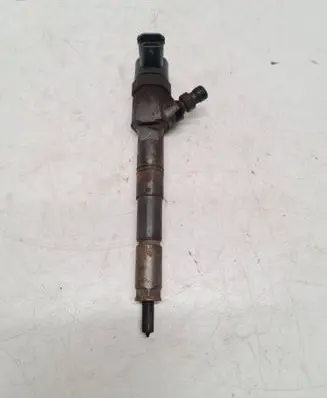 Opel Insignia A Fuel injector 95517502 67HH1S5AA