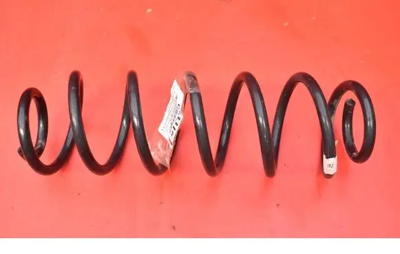 Rear coil spring