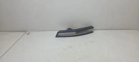 Volkswagen PASSAT B6 Front indicator light 