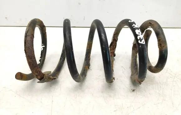 Hyundai Santa Fe Rear coil spring
