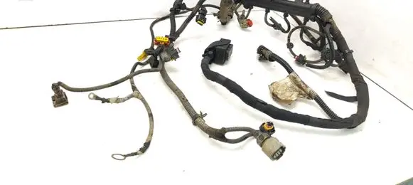 Engine installation wiring loom