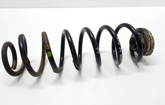 Rear coil spring