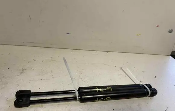 Tailgate/trunk strut/damper