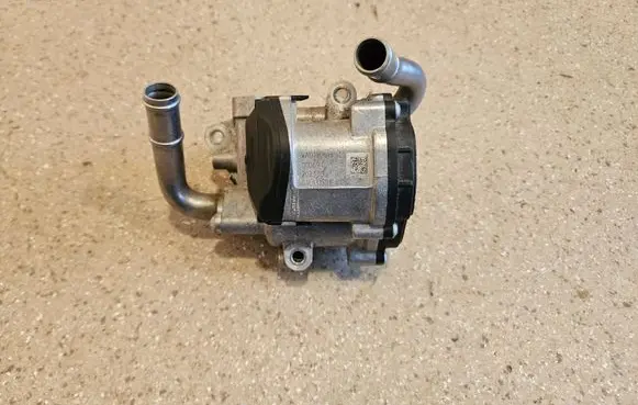 EGR valve