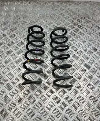 Renault Megane IV Rear coil spring
