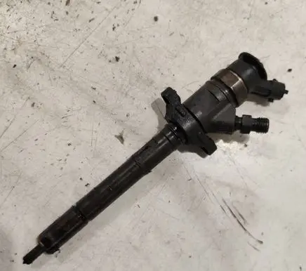 Citroen Berlingo Fuel injector 0445110297