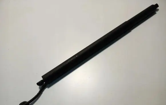 Tailgate strut