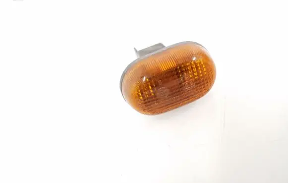 Front fender indicator light
