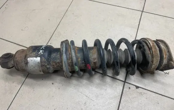 Subaru Outback Rear shock absorber with coil spring 20365AG300