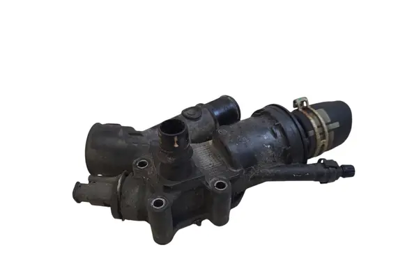 Thermostat/thermostat housing