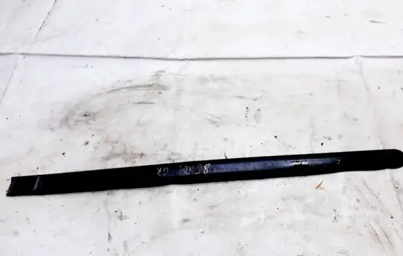 Rear door trim (molding)
