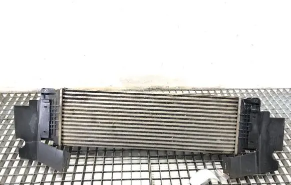 Volkswagen Crafter Intercooler radiator A9065010301