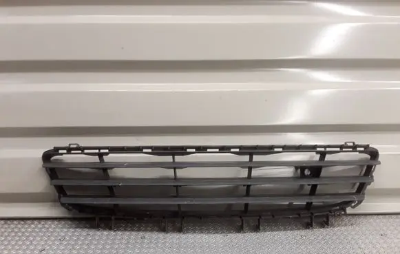 Front bumper lower grill