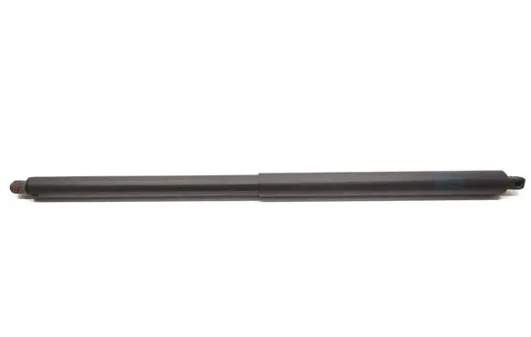 Tailgate strut