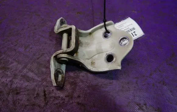 Hyundai H-1, Starex, Satellite Front door lower hinge 