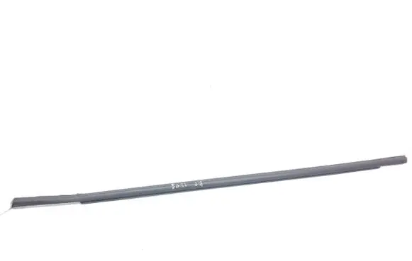 Front door glass trim molding