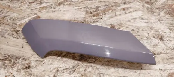 Rear/tail light trim molding