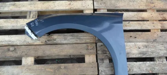 Ford Focus Fender