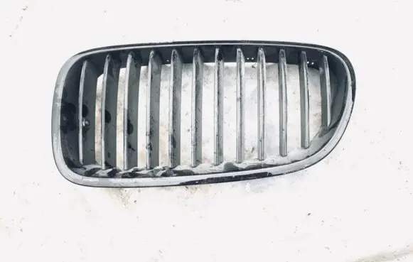 BMW 5 GT F07 Front grill 51137200727 51137261355