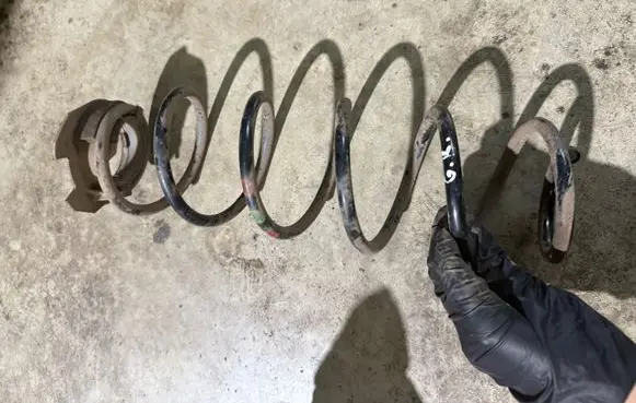 Rear coil spring