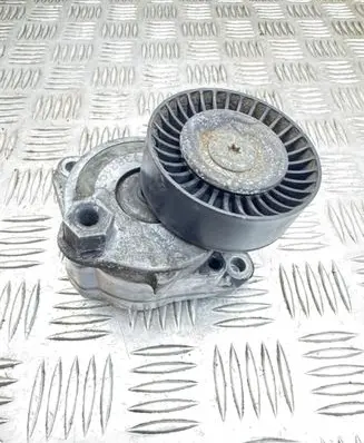 Mercedes-Benz S W221 Alternator belt tensioner 38319