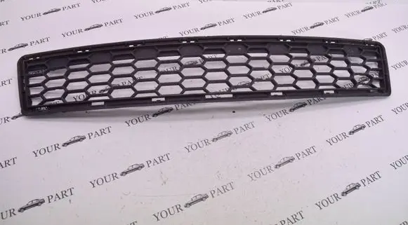 BMW X3 F25 Front bumper lower grill 8048097