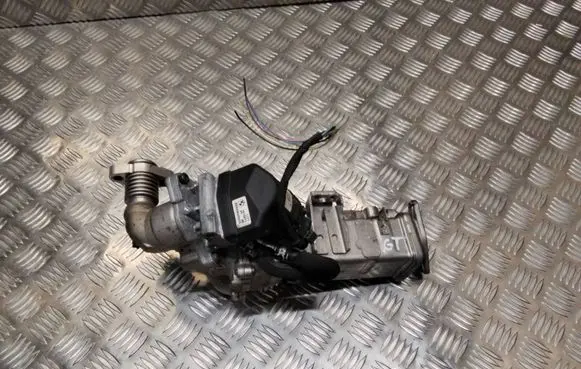 BMW 5 GT F07 EGR valve 7810871