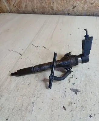 Renault Megane II Fuel injector 8200294788