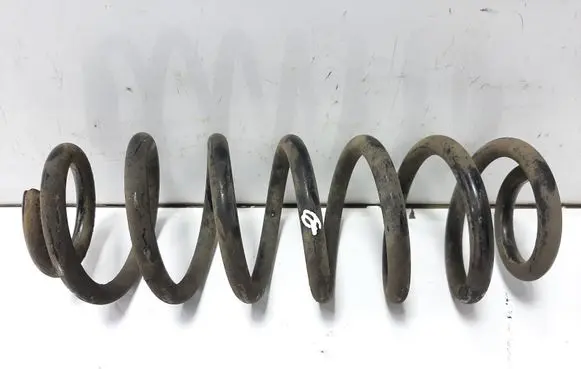 Rear coil spring