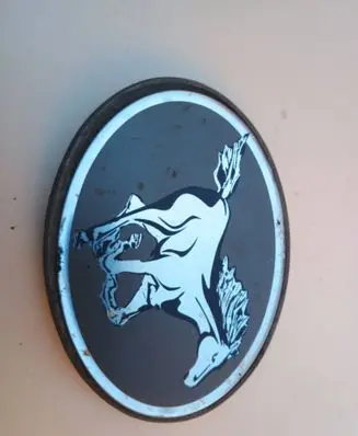 Hyundai Galloper Manufacturer badge logo/emblem D4BH