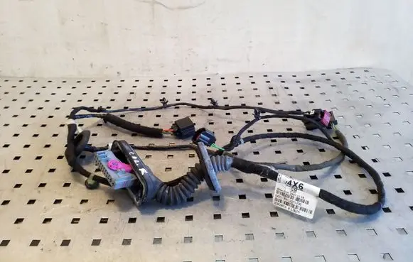 Rear door wiring loom