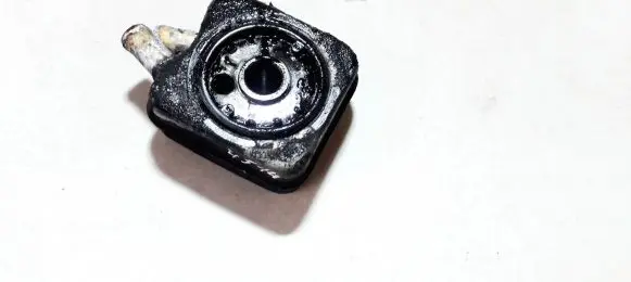 Audi A3 S3 8L Engine oil radiator 