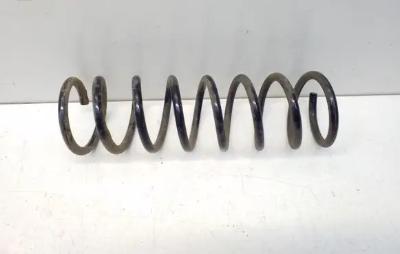 Rear coil spring