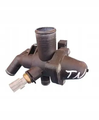 Thermostat/thermostat housing