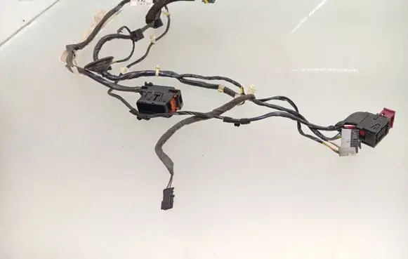 Front door wiring loom