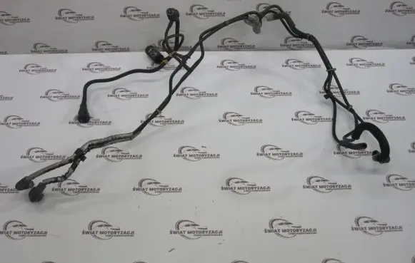 Citroen Berlingo Vacuum valve 423GB
