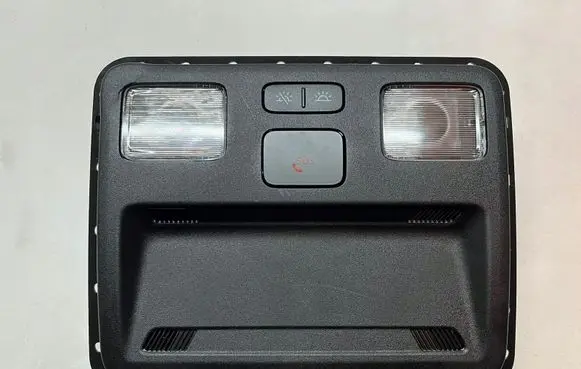 Ford Focus Rear seat light 