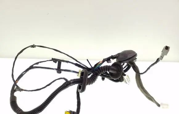 Nissan Qashqai Front door wiring loom 24125JD06D